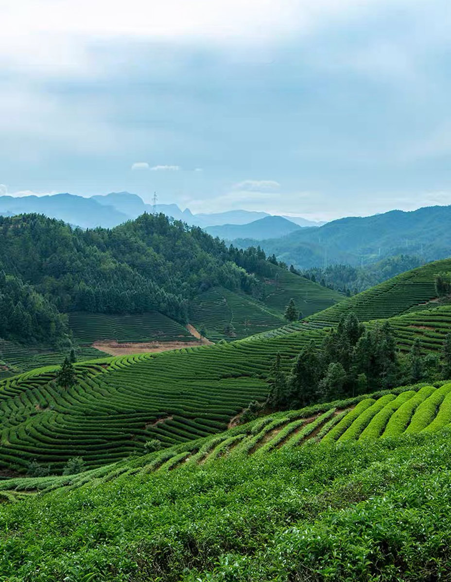 運(yùn)營(yíng)模式