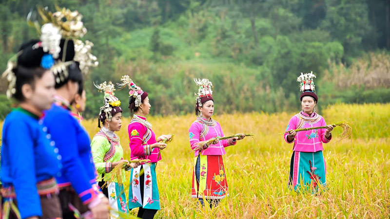 行業(yè)動(dòng)態(tài)