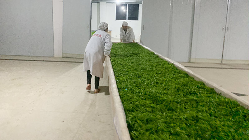 華恒茶廠(chǎng)